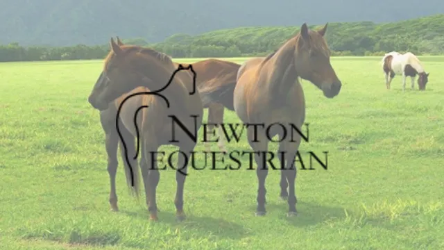 Newton Livery Equestrian & Leisure Centre