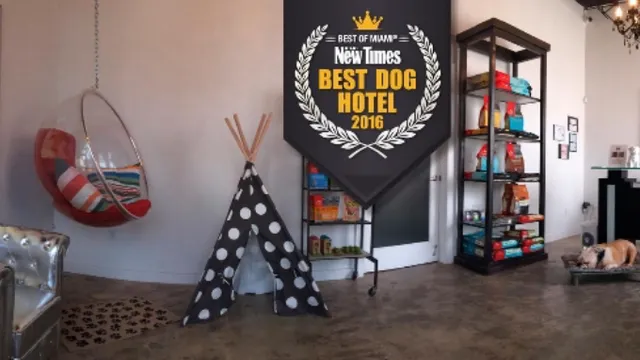 Pet Lounge Miami