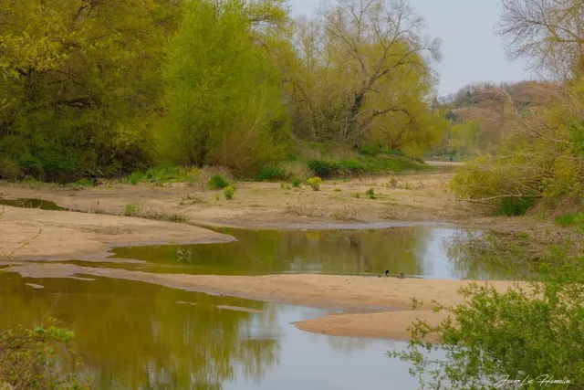 Île de la Métairie