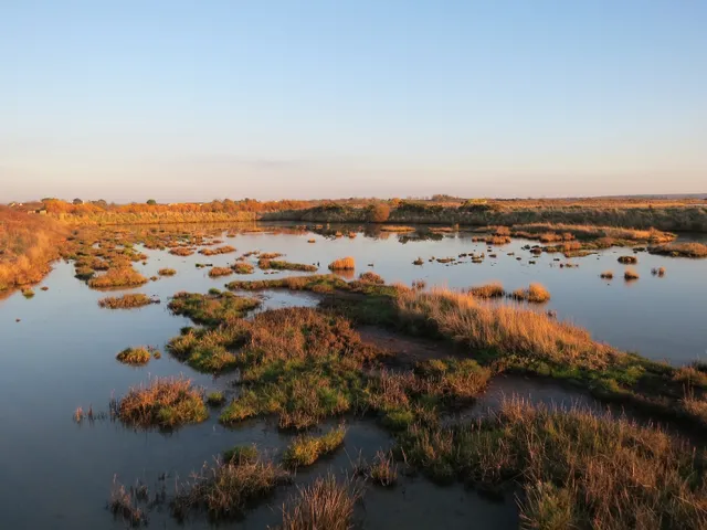 Réserve Naturelle des Marais de Séné