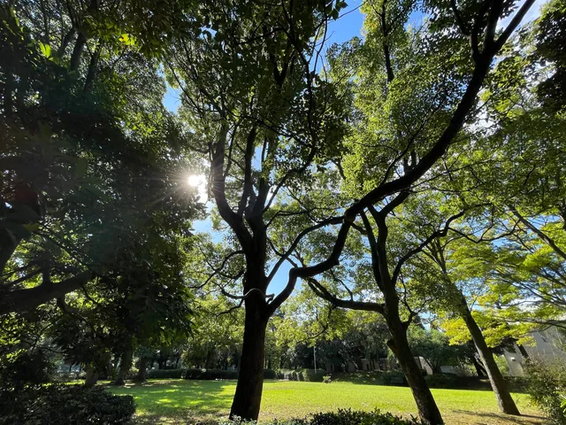 Makuharinishi Daini Park