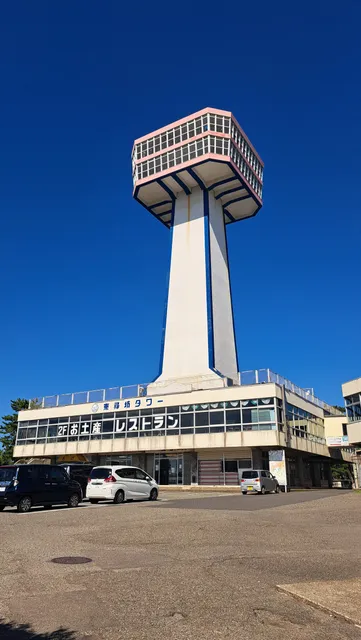 Tojinbo Tower
