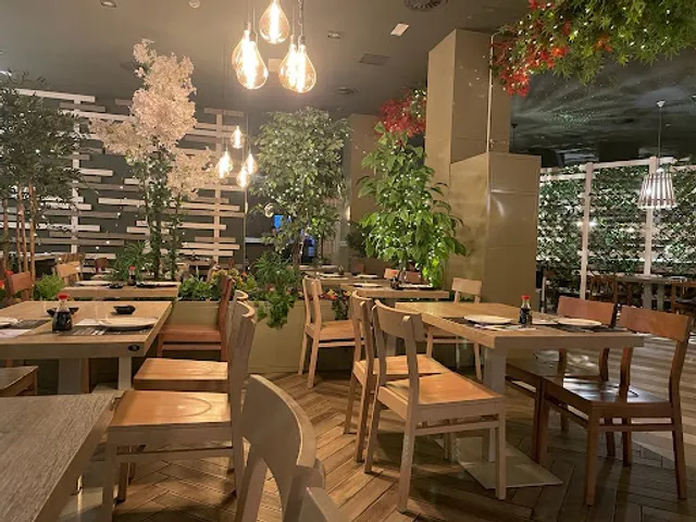 SUMO Francisco Silvela