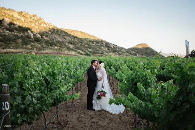 Vineyard Solar Fortún