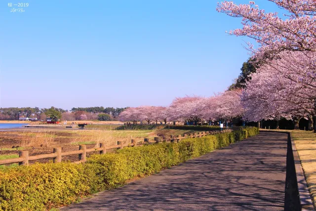 Oramachi Tataranuma Park