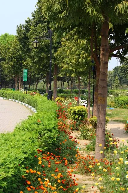 Japanese Park :: Swarn Jayanti Park