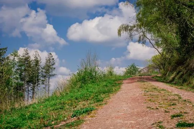 Redhead Mountain Bike Park