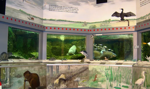 Maison du Saumon et de la Rivière