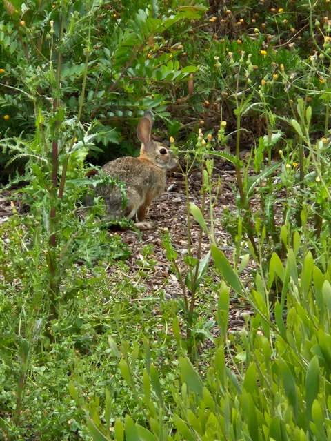 Irvine Historical Society & Museum