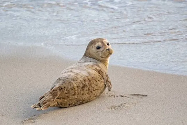 Park Point Recreation Area