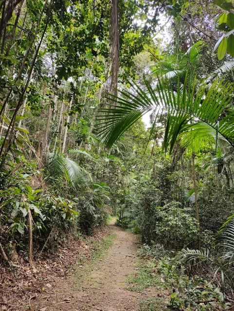 San Francisco De Assis Park
