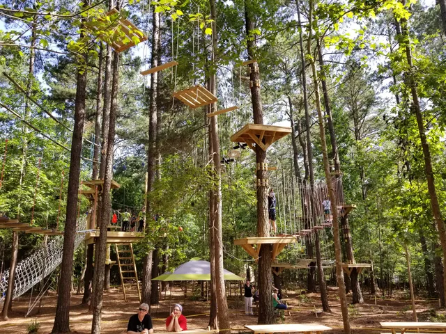 TreeRunner Adventure Park Raleigh