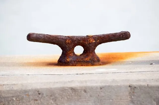 Tobico Marsh & Frank N. Andersen Nature Trail