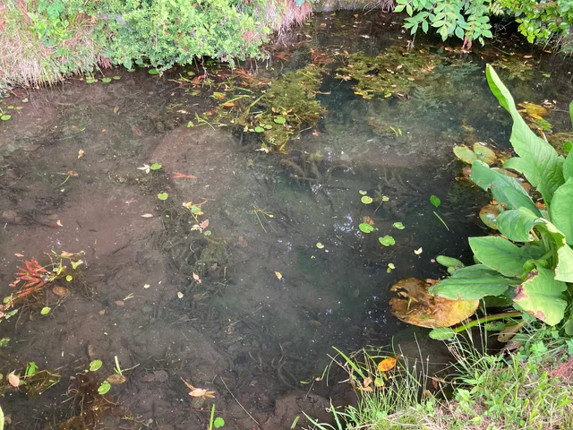 Momose Water Torture Pit