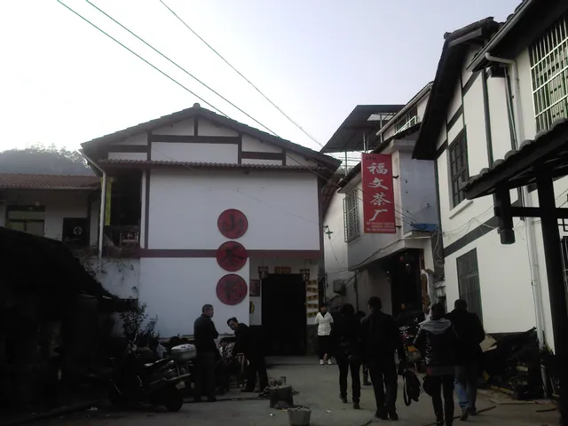 Wuyi Mountain Tea Plantation