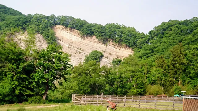 place image