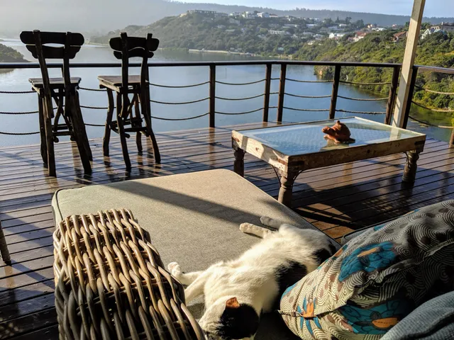 Sedgies on the Water