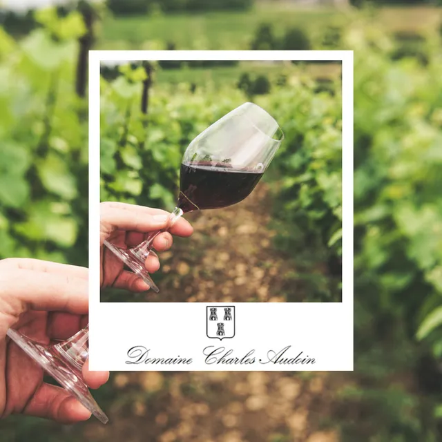 Domaine Charles Audoin