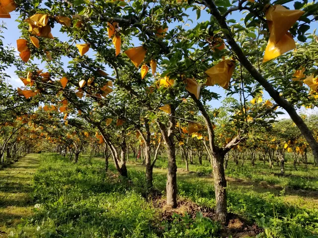 River Hills Farm LLC