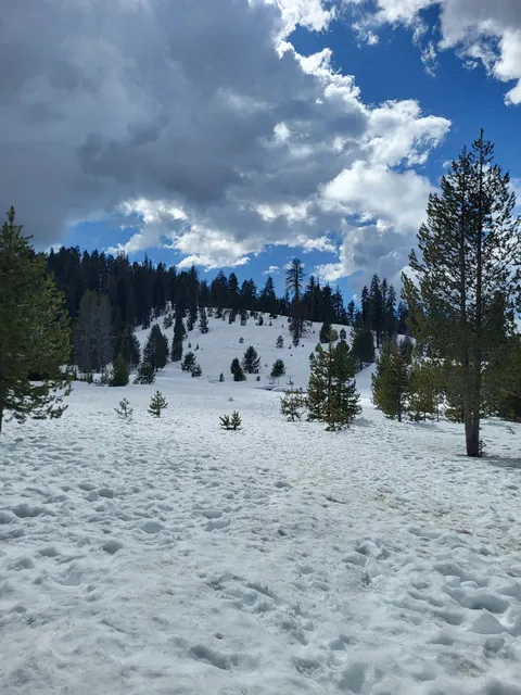 Wolverton Picnic Area