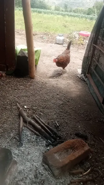 Shancheng Image Food Shopping Mall