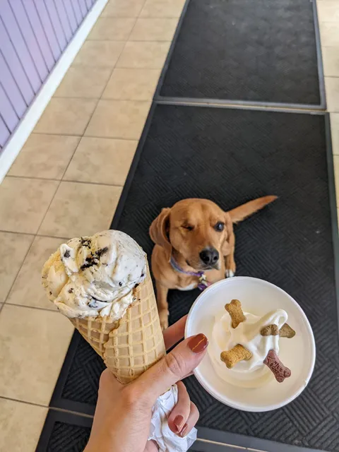 Purple Cow Ice Cream