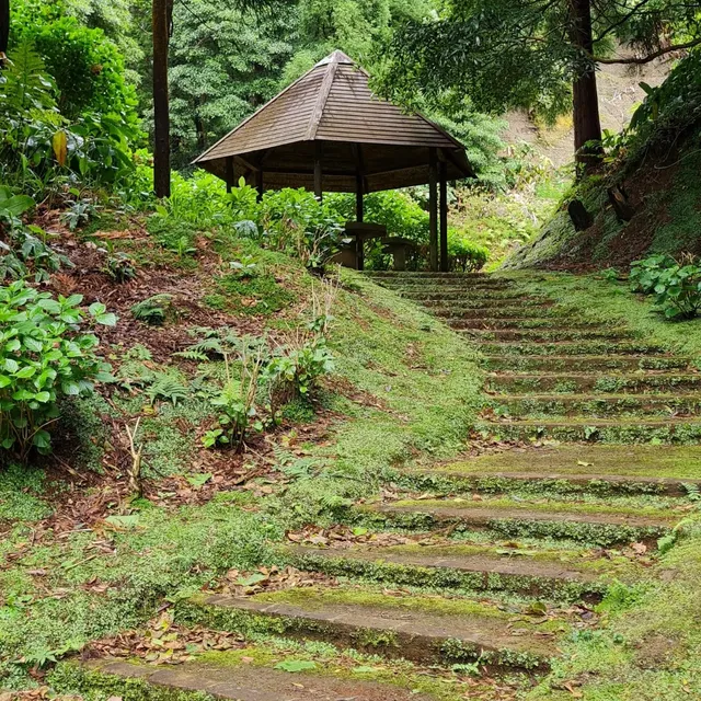 Picnic Volta do Salto