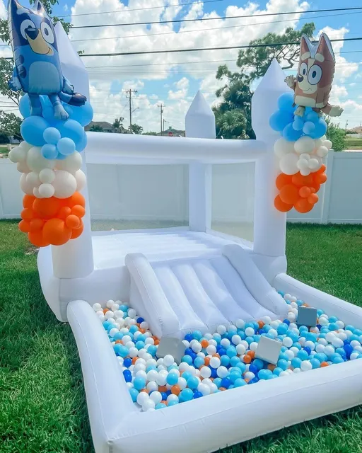 Premium Party Rental