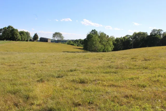 American Land & Farm, LLC