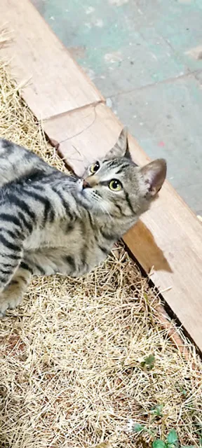 Rei dos Caldos Peixes e Cia.