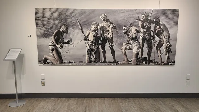 Withrow Common Gallery