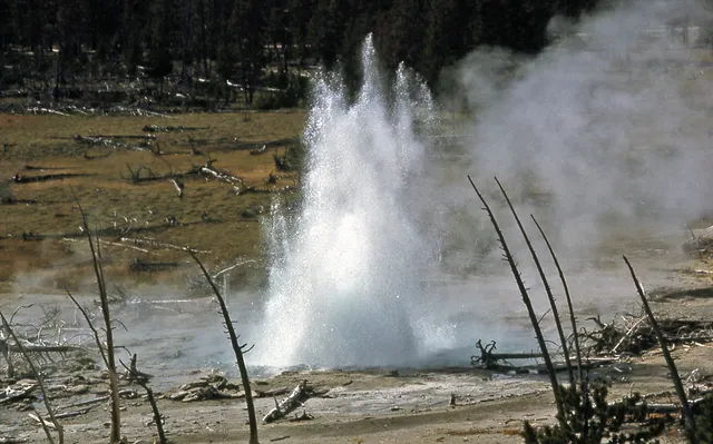 Aftershock Geyser