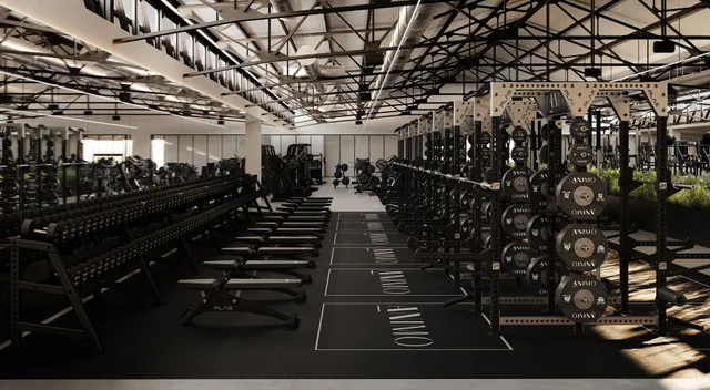 Animo Studios - Cinquantenaire