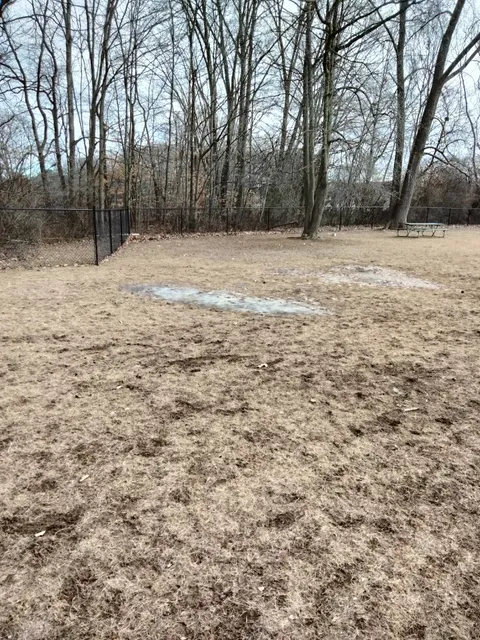 West Hartford Dog Park