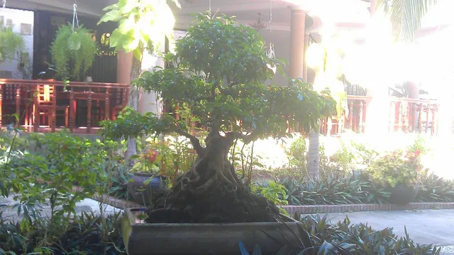 Khu Nghĩ Dưỡng Sand Garden Resort