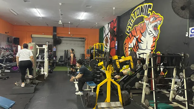 Gym Tonic Isla Mujeres