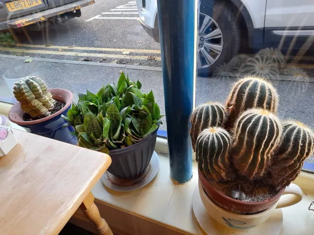 photo-1