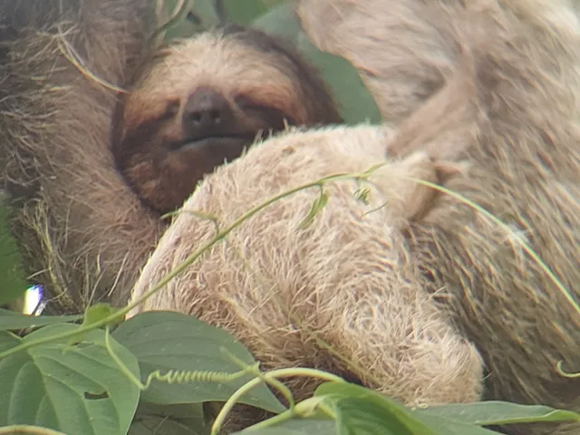 Costa Rica Tours adventure and Nature