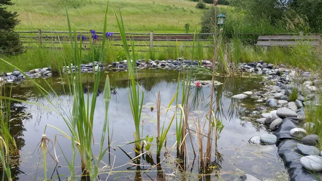Washington State University Arboretum