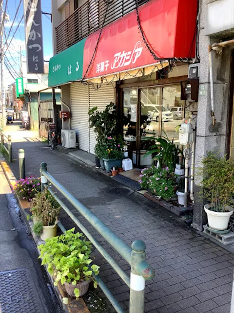 Acacia Confectionary