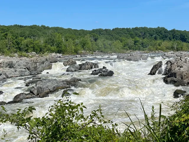 Olmsted Island Overlook