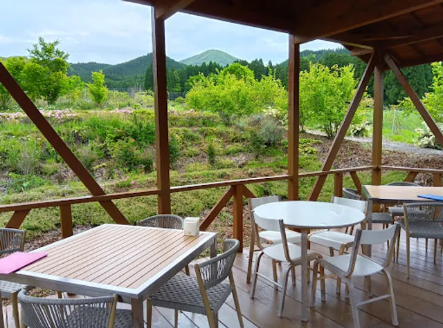 ベリージュファーム