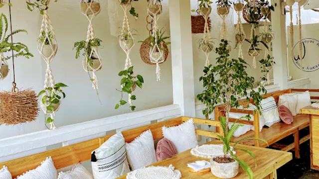 Restaurante Wayak Dreamy Food Holbox