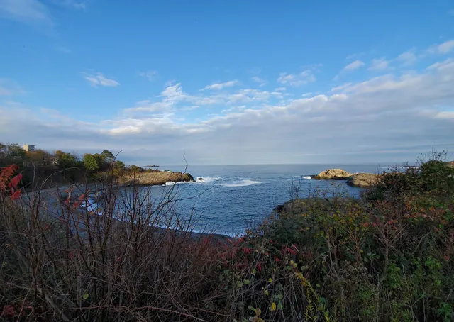 Mass Audubon's Nahant Thicket Wildlife Sanctuary
