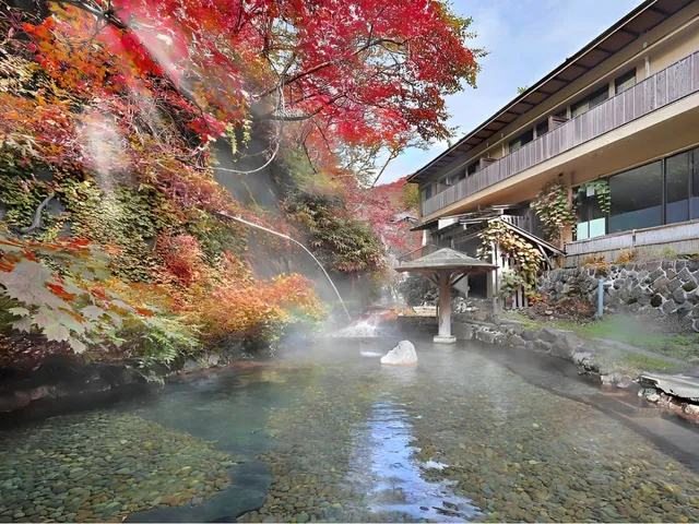 Ōmaru Onsen Ryokan