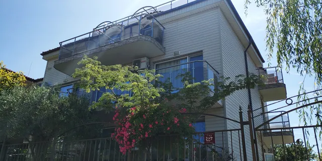 Морска Звезда