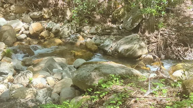 Uvas park parking lot 1