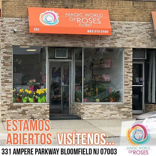 Magic World of Roses