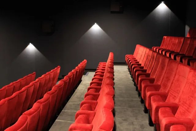Cinéma Studio 31
