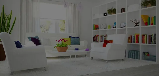 Always Green Carpet Cleaner Queens